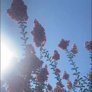 Meet your Posher, Isha